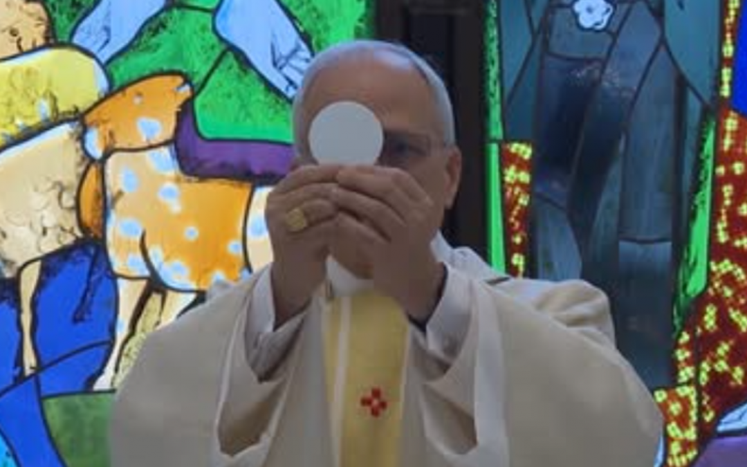 León XIV aprueba una ‘nueva misa sobre la creación’, que estrenará él mismo el 9 de julio.