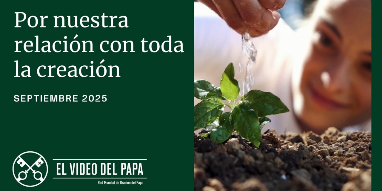Por nuestra relación con toda la creación – El Video del Papa – Septiembre de 2025.