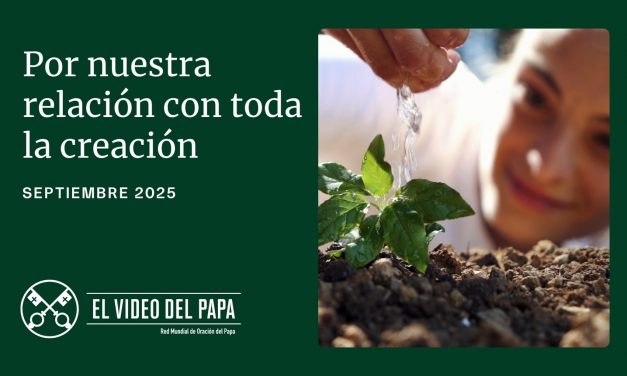Por nuestra relación con toda la creación – El Video del Papa – Septiembre de 2025.