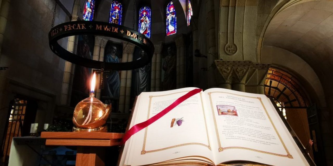 Curso online de formación para catequesis 2025-2026. CEE.