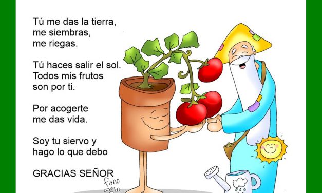Servir sin pretensiones. 27º Domingo del Tiempo Ordinario, Ciclo C.
