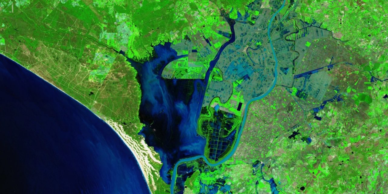 Doñana se tiñe de verde: el espacio natural se prepara para una primavera histórica.