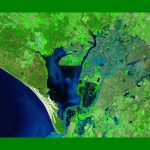 Doñana se tiñe de verde: el espacio natural se prepara para una primavera histórica.