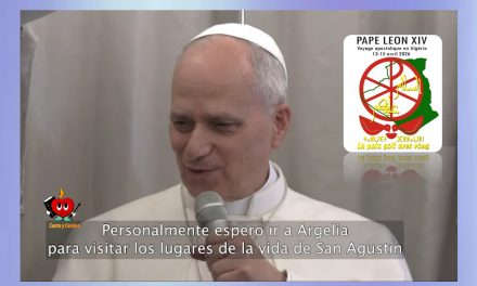 Papa León XIV peregrina a África: 11 ciudades en 10 días. 13-23 abril 2026.