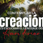 Jornada Mundial de Oración por el Cuidado de la Creación 2026. 1 septiembre – 4 octubre.